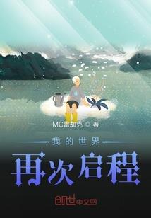 我乃神偷