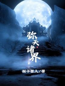 顶级杀手之异界