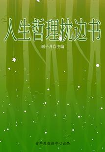 月下之辉