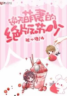 精灵的绝唱之精灵图腾