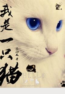 追凶1