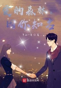 乞梦的少年