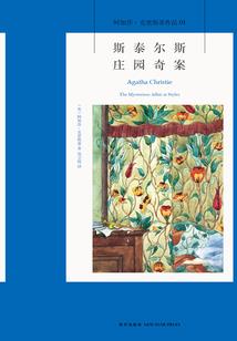 我的浣熊大叔