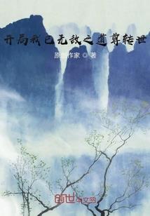 乱辰与白鸟