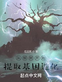 《幻魔之球》