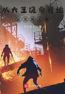 精灵宝可梦之掠夺者系统