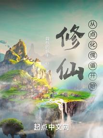 道则之网
