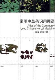 这样混三国