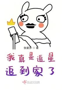 轮回的一生