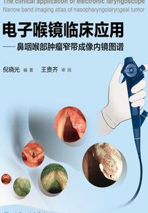守护之绊