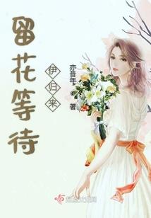 穿越反派系统