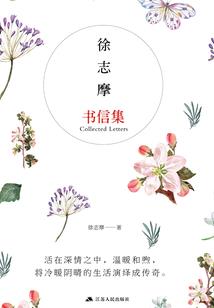 豪门风云我的间谍日记