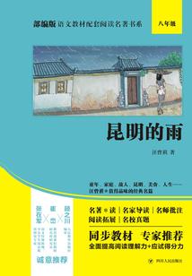 凌战寰宇