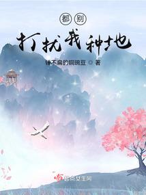 流年微梦