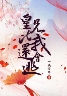皇子妃出逃记