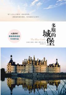 IT外企青春记