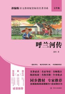 我的老婆是洛天依