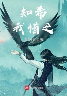 乱皇