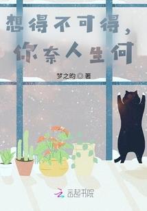 都市极品小保安