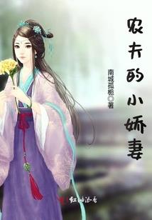龙的刺客