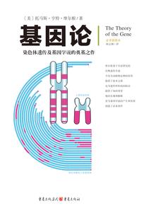 淡抹初妆