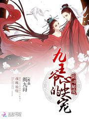 南厢断案全集