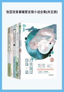 末世的流浪战士
