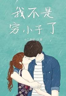 将军的第十一夫人