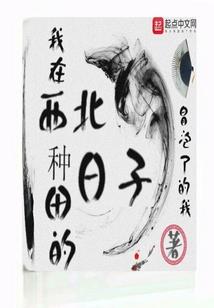 神印：满级属性，一拳牧师