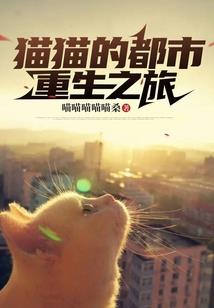 机动兵器幻体