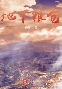 皇上的小三