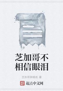 贼游异世