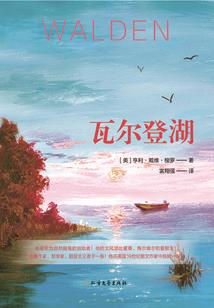 甜橙西米露