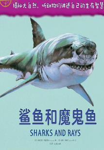 残芯