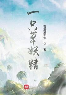 从安家开始到达人生巅峰