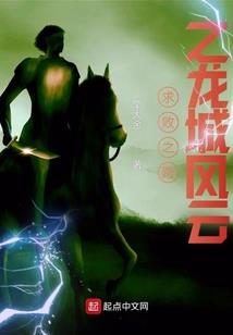 杀手之王的传奇