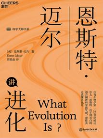 傻王独宠妃常完美