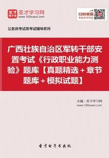 系统开发师