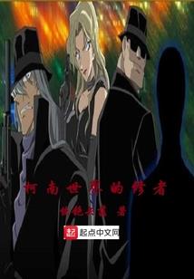 神奇宝贝之月光不见