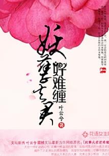回首月明风清