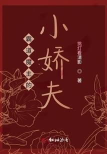 一本虚与实的书