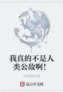 凤衣