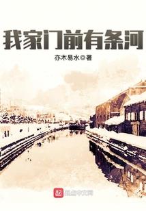 道武极限录