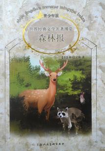 电脑奇人传