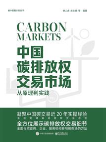 通缉太子妃