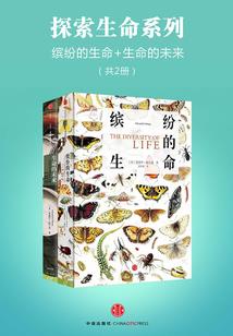 赵匡胤：乱世枭雄开启文治盛世