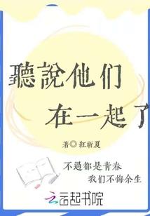无法用语言代替的语言