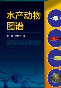 待我君临天下