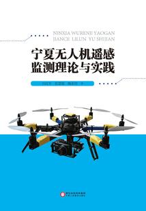 暗夜搭档