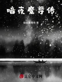 侠岚穿越文